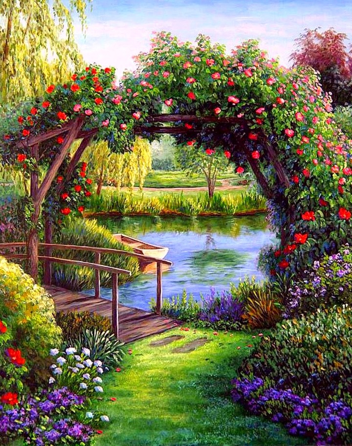 morning & garden