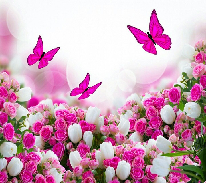 flowers