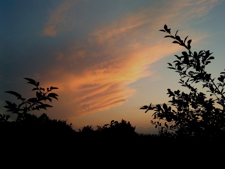 Sky