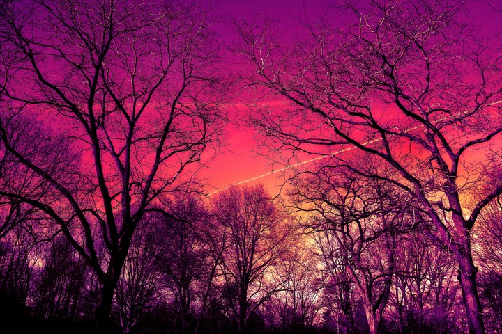 beautiful picture....