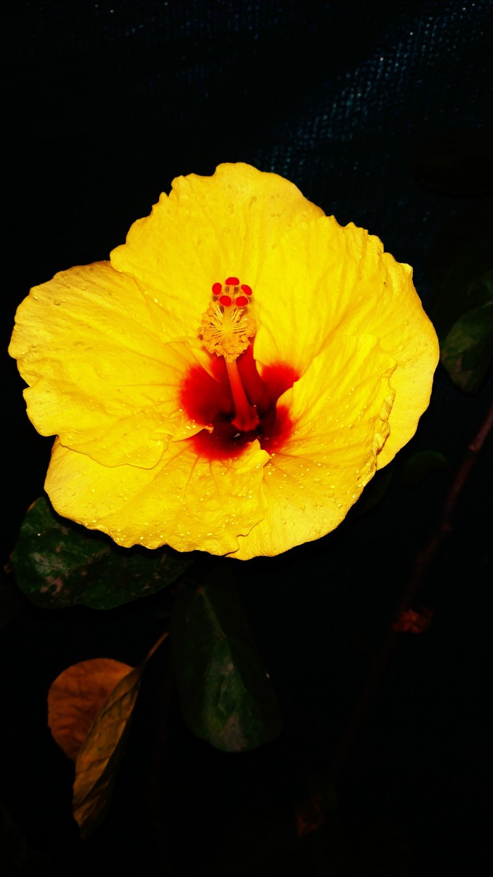 Nature Photography...