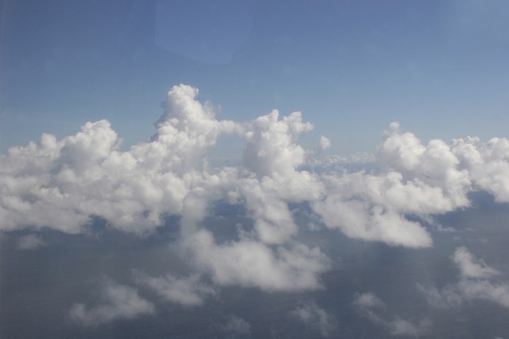 Scenics