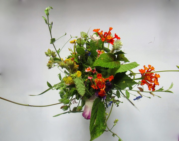 Wreath of the Wild