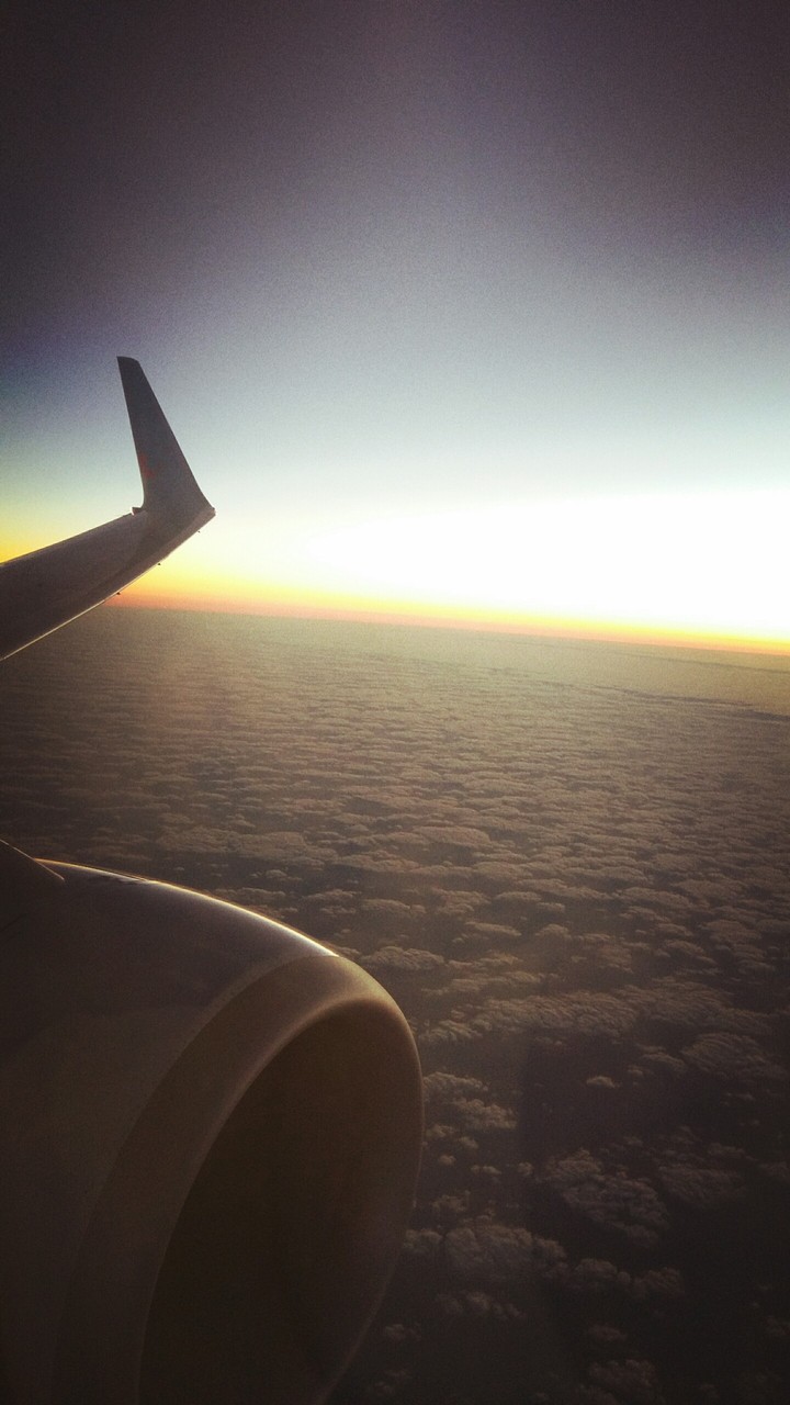 fly in the sky