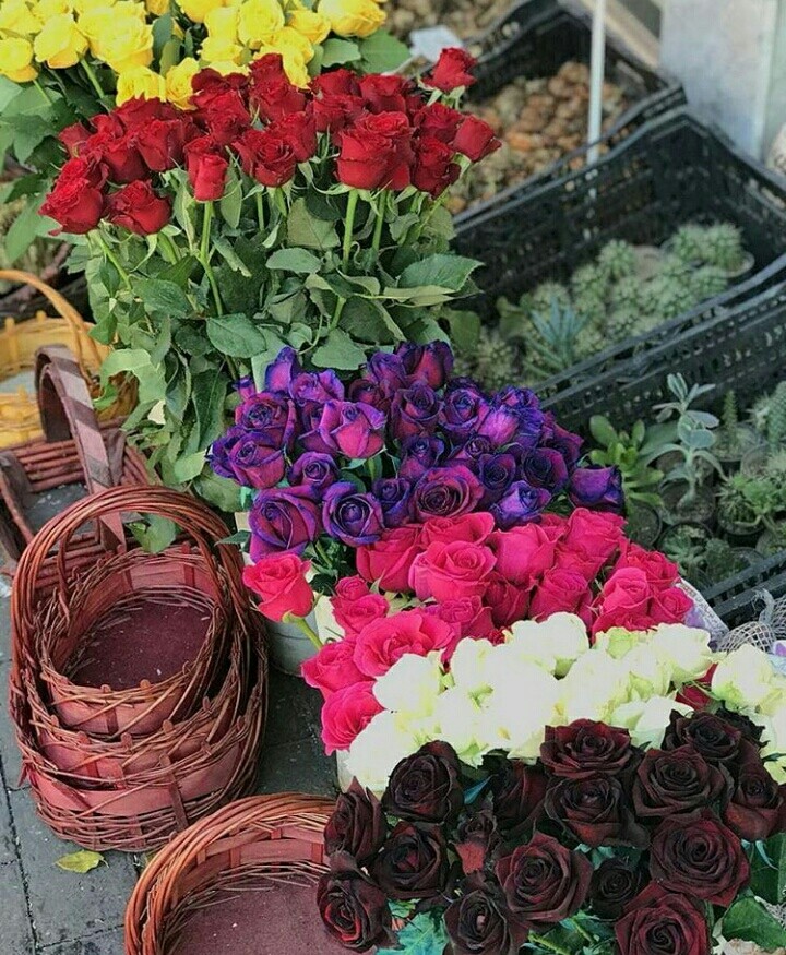 happy mother's day