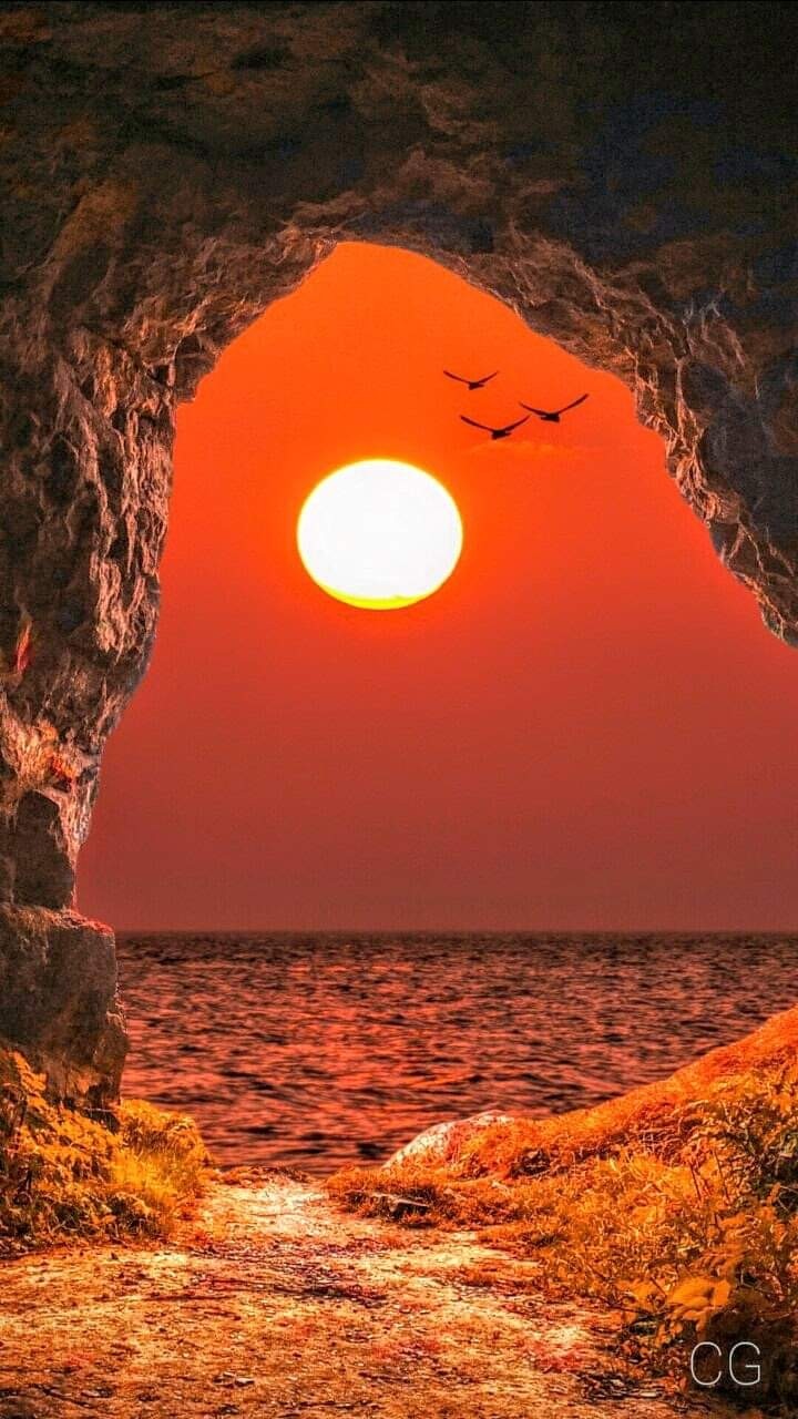 bonito