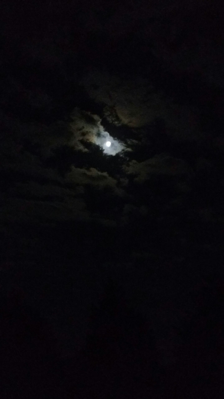 night sky