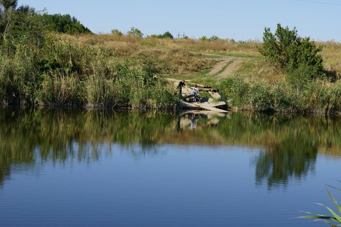 marsh, Bank háttérképek