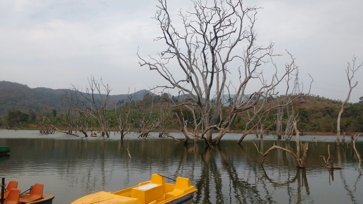 Tour to Maredumilli