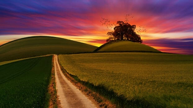Nature