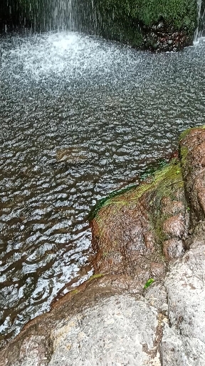 ..