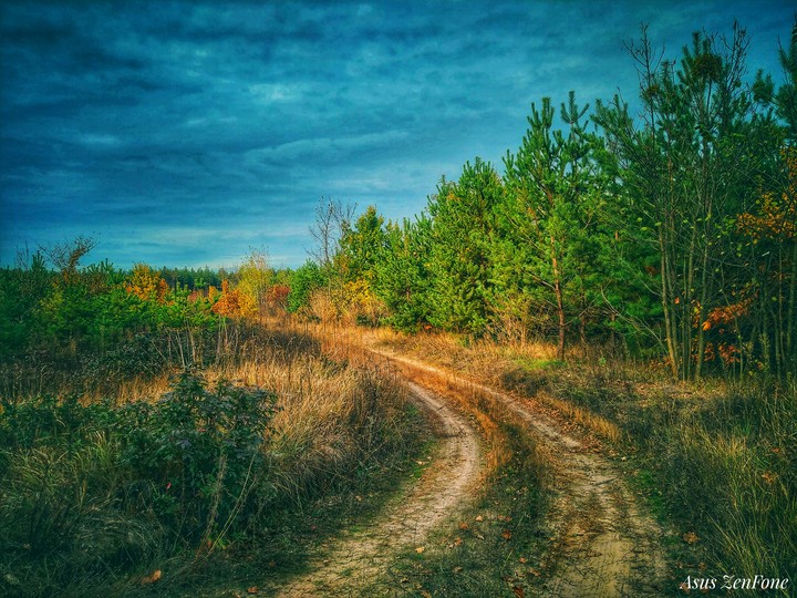 тропинка