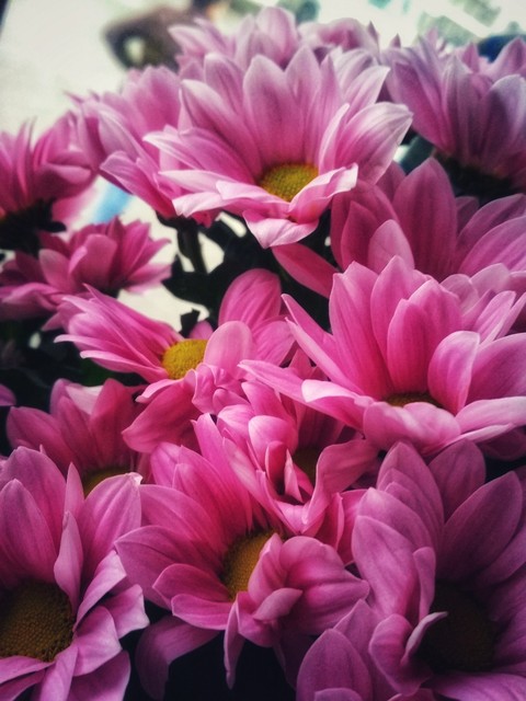 bouquet of flowers