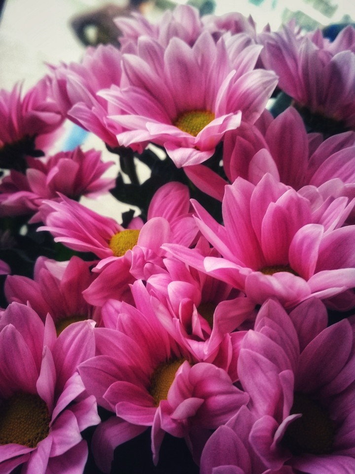 bouquet of flowers