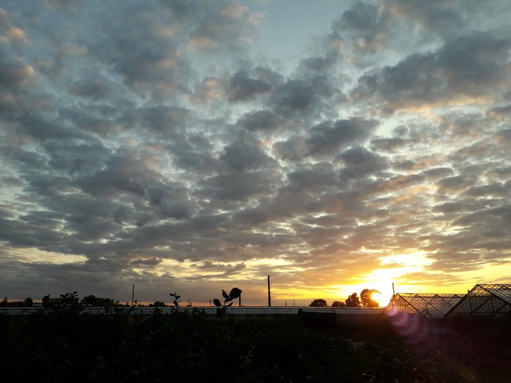 sun