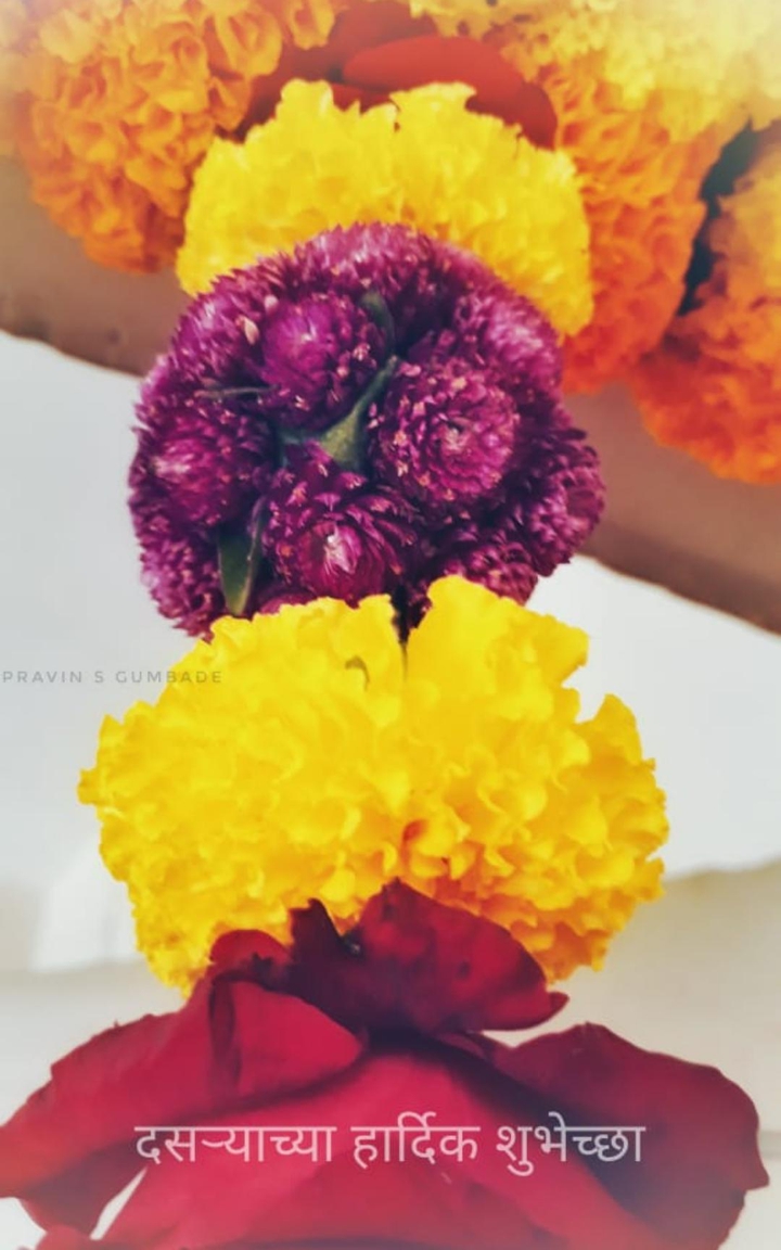 Dasara