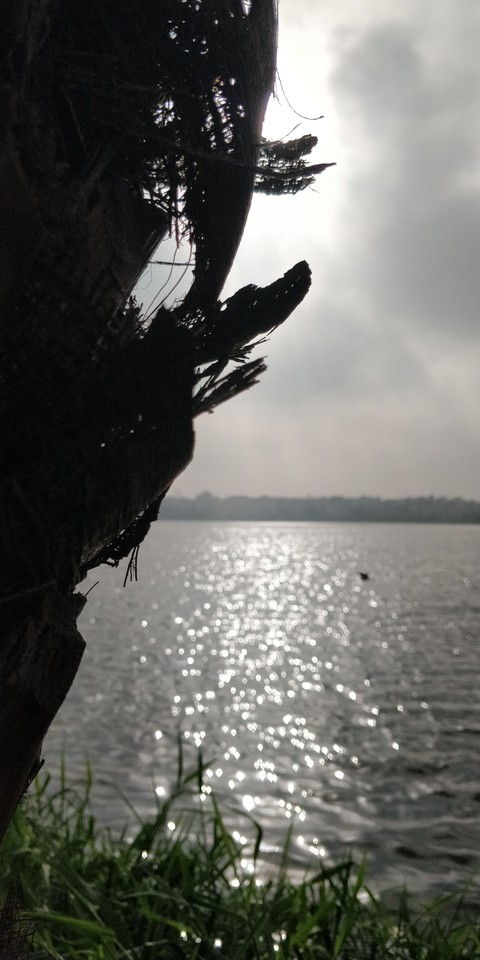 Lakeside
