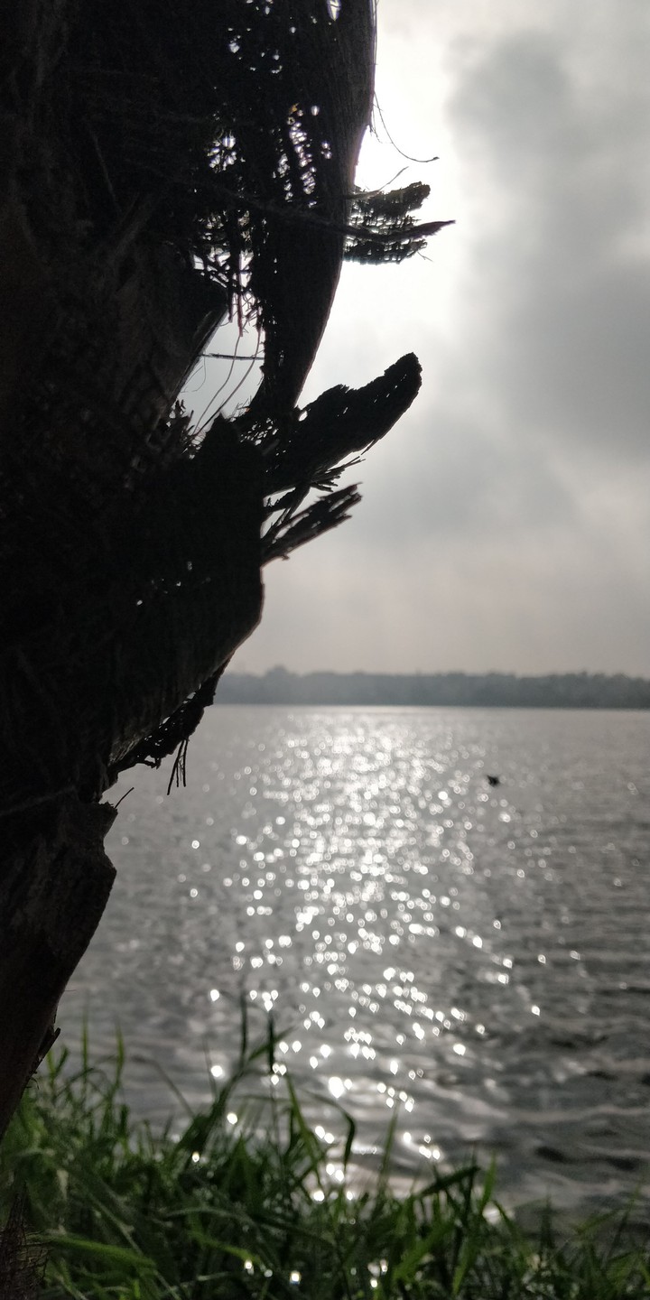 Lakeside