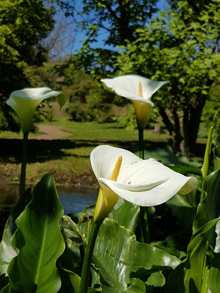 Bella giornata