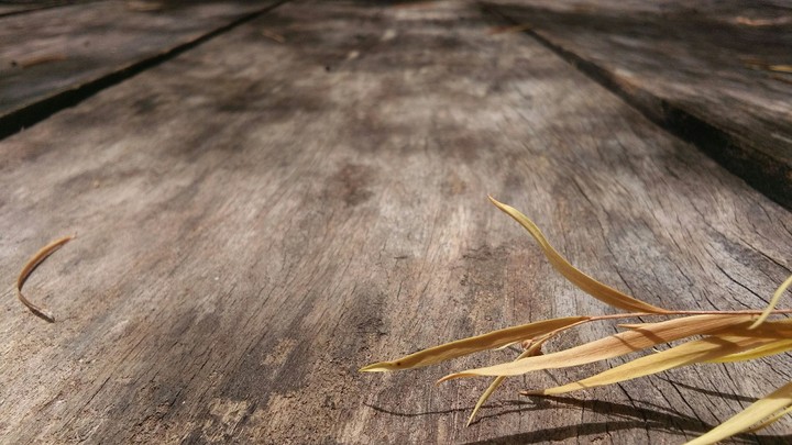 wooden plank