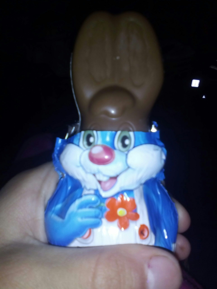 chocholate rabbit