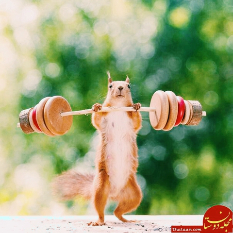 stay healthy