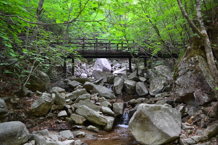 산이미지