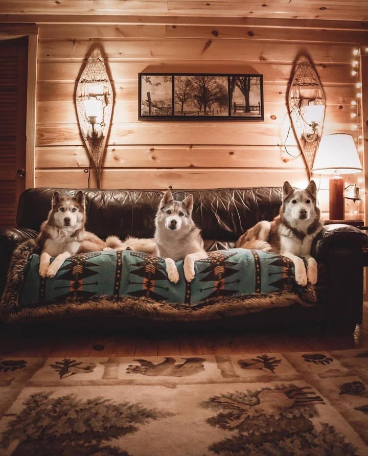 •°•°•♧•°•♡•°•♧•°•°•