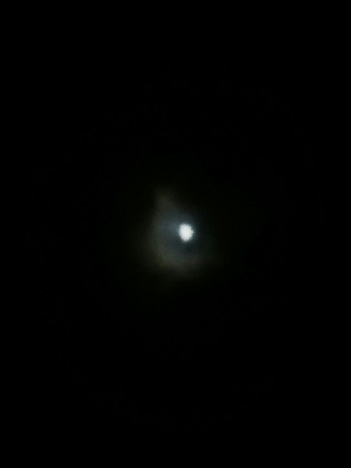 Mi