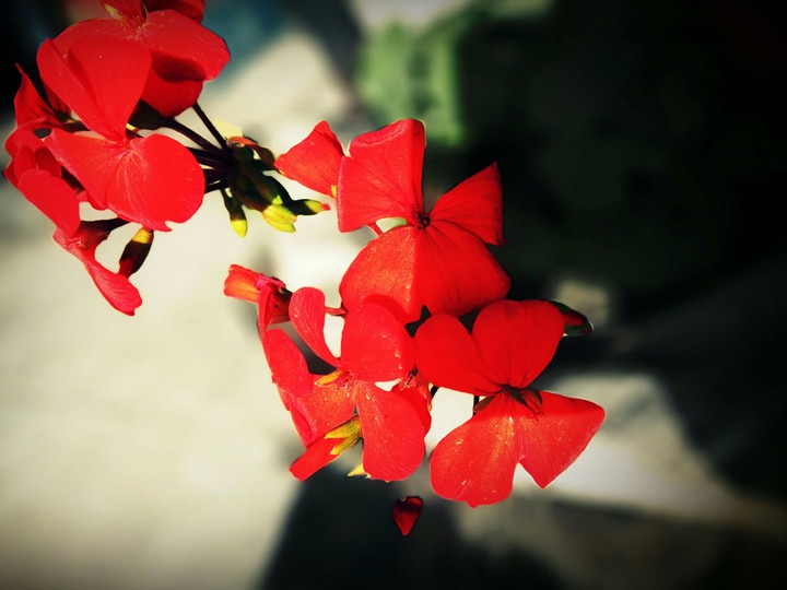 My redmi note 3 click