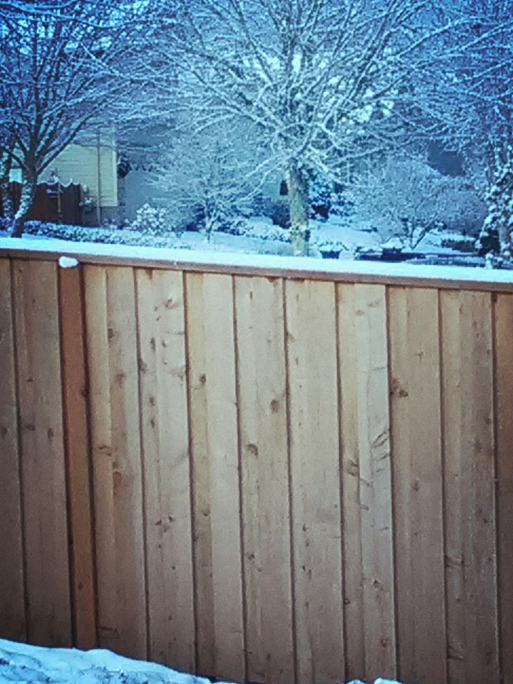 Snowday