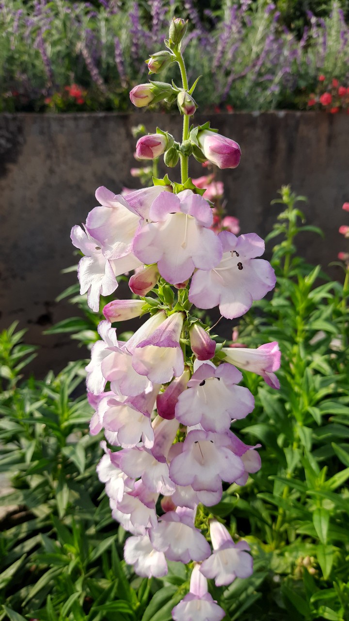 random clicks