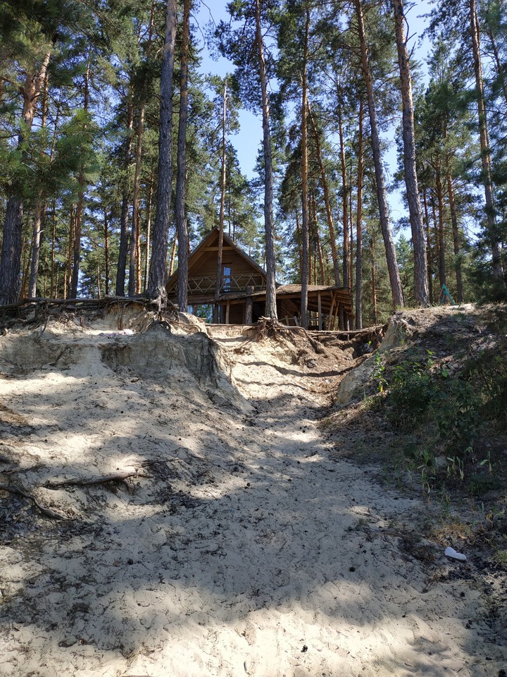 summer, home, forest