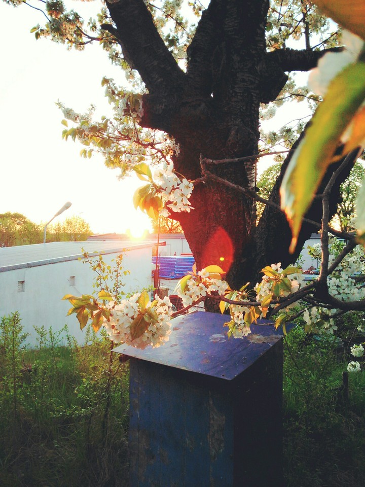 Bin