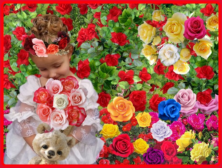 Rosen Traum
