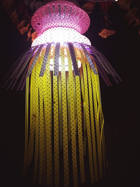 light for dipavli