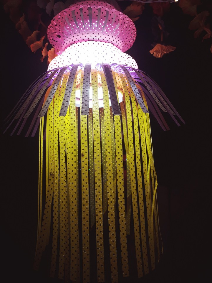 light for dipavli