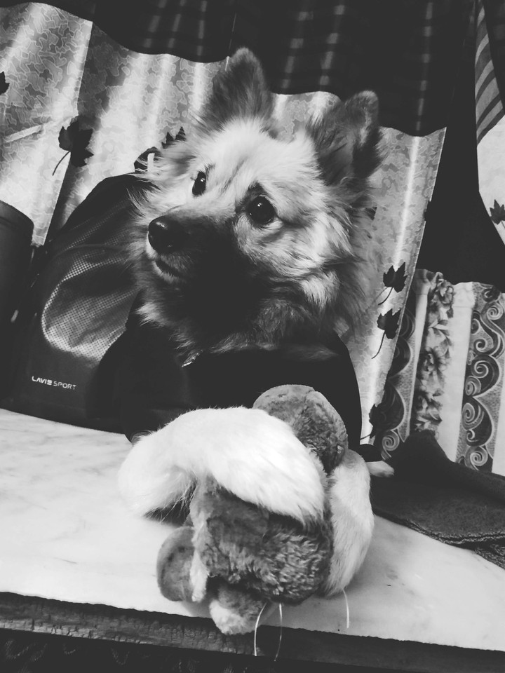 my love♥️