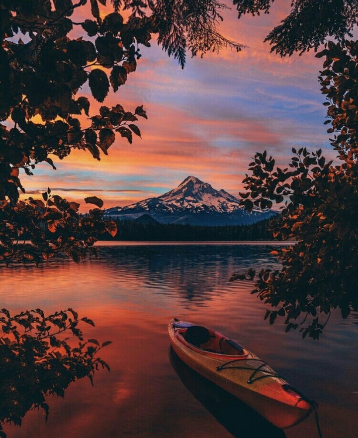dream