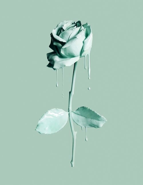 art.. flower