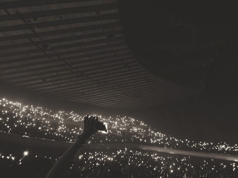 The concert
