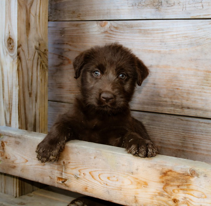 waiting patiently