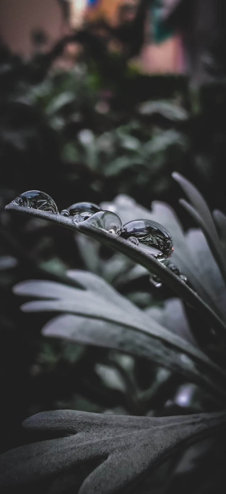 Winters