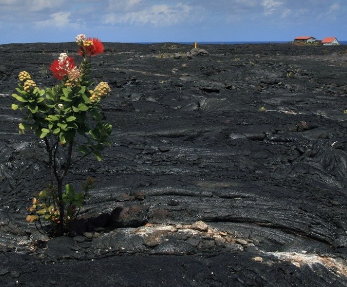 lava