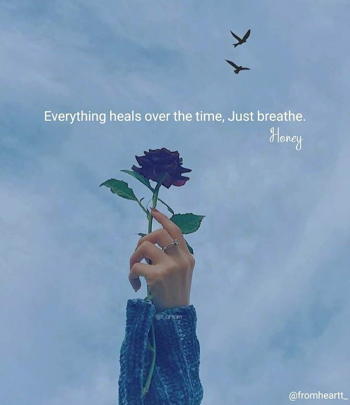 Quotation