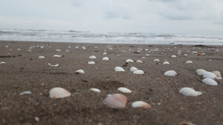 sea