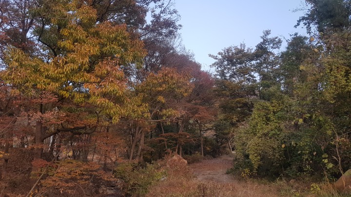 자연의 풍경