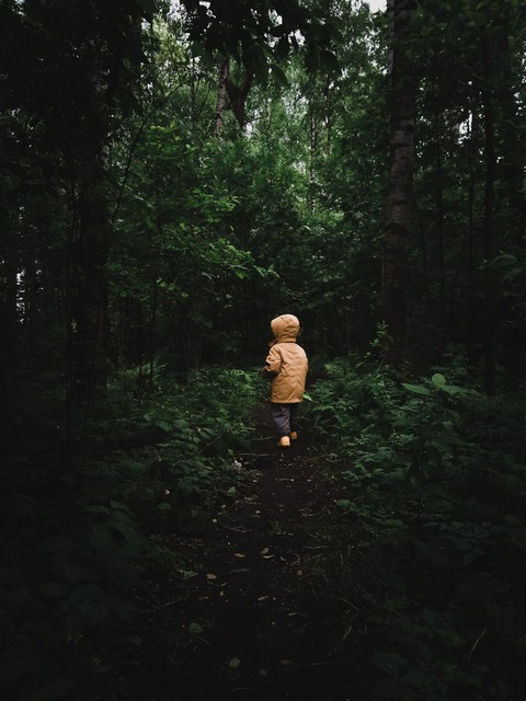 forest