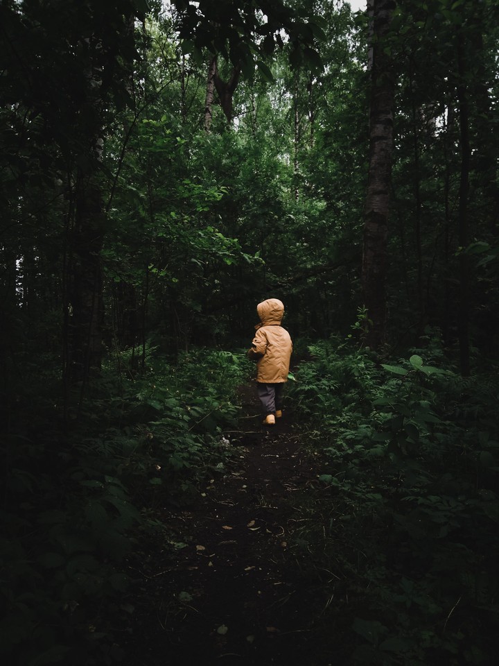forest