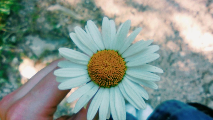 ☀